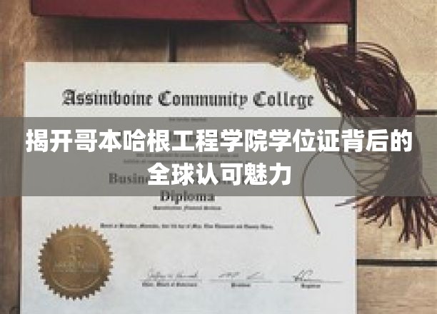 全球通行证，哥本哈根工程学院学位证的独特吸引力