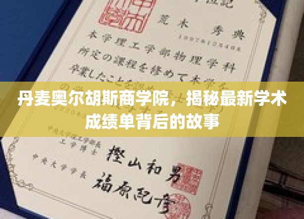 揭开丹麦奥尔胡斯商学院学术巅峰背后的传奇之旅