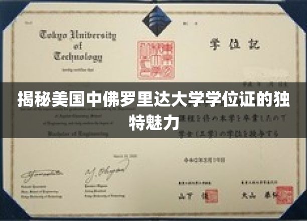 解码美中佛罗里达大学学位证的非凡风采