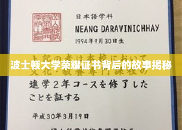 波士顿大学荣耀证书背后的传奇历程大揭秘