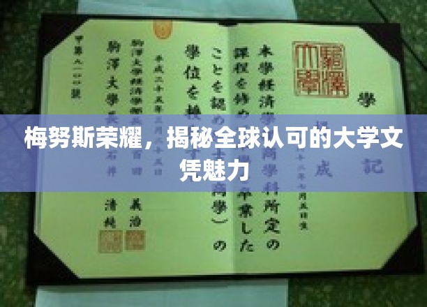 探寻梅努斯荣耀，全球视野中的顶尖大学文凭魅力
